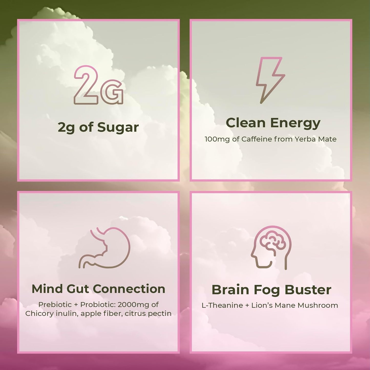 Yerba Magic | Yerba Mate Instant Tea Powder | 30 Servings