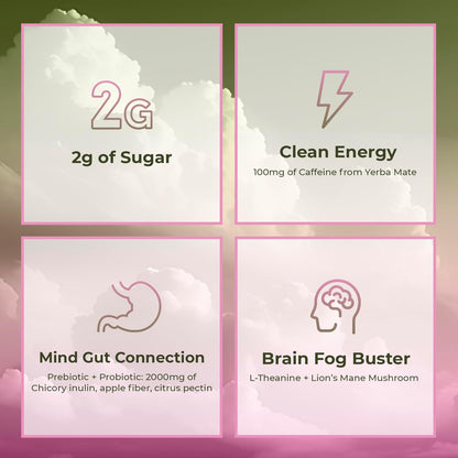 Yerba Magic | Yerba Mate Instant Tea Powder  | 30 Servings